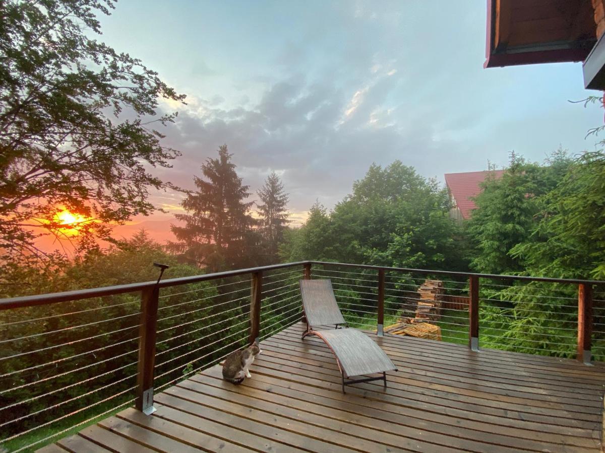 Carpathian Log Home Bran  Luaran gambar